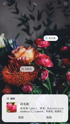 小米智能识物手机最新版
