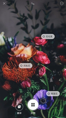 小米智能识物手机最新版