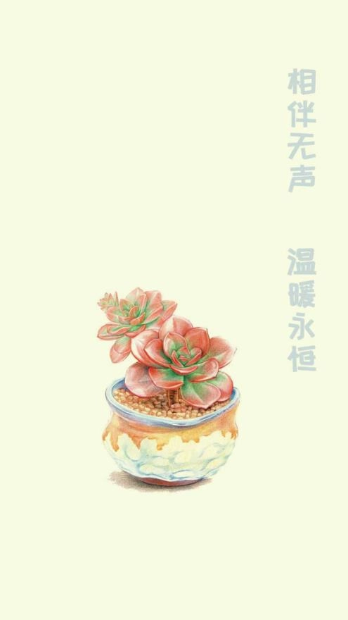 小墨多肉日记记录官方最新版