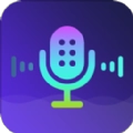 变声器官方正版