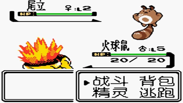 口袋妖怪水晶复刻版(4)