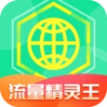 流量精灵王安卓免费版