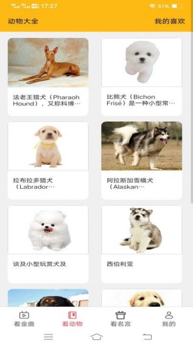 金牌聚看原版图3