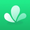 青绿官方正版