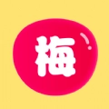 莓梅工具箱直装版