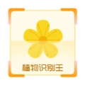 植物识别王官方正版