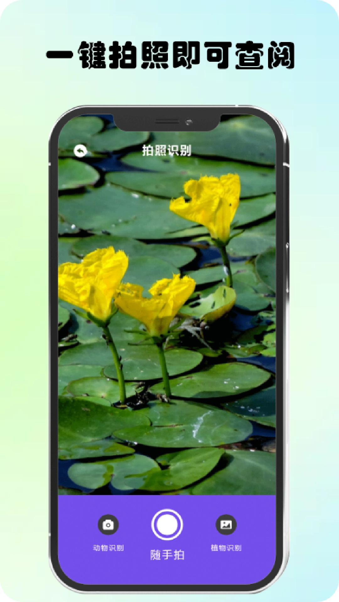 萬物識(shí)圖高手截圖0