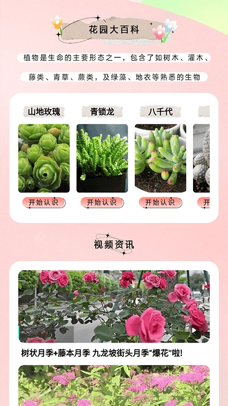 万物识图大师安卓版下载