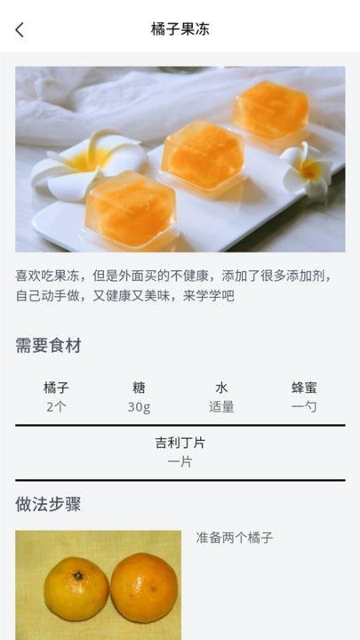 果冻达人正版