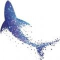 星鲨线上VR学院通用版