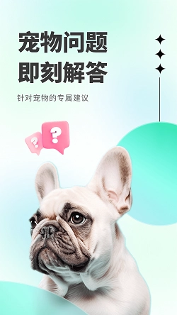 萌萌答直装版