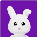 Mika米卡直装版