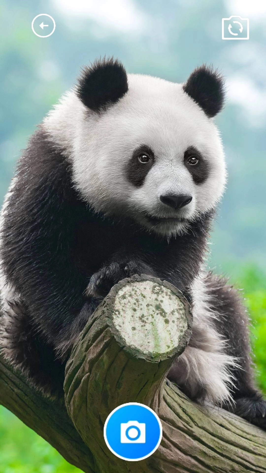 糯米助手安卓免费版