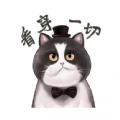 肥猫影视安卓直装版