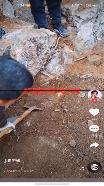 慧猫宝正版