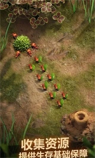 蚂蚁地下王国国际服原版