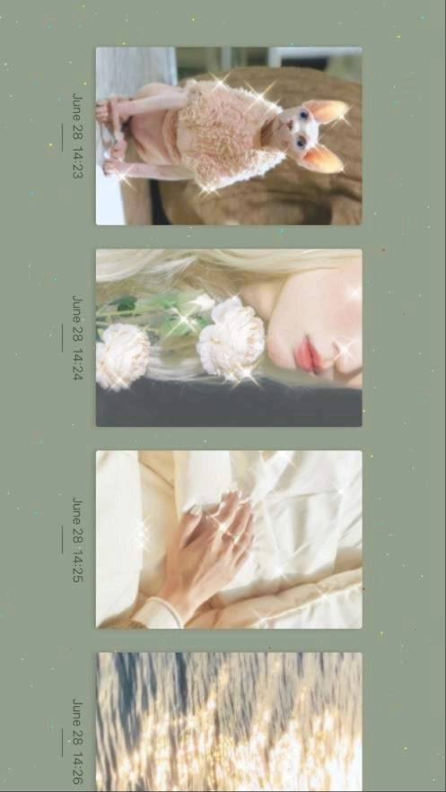 chiccam相机手机免费版