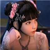 少年锦衣卫手机免费版