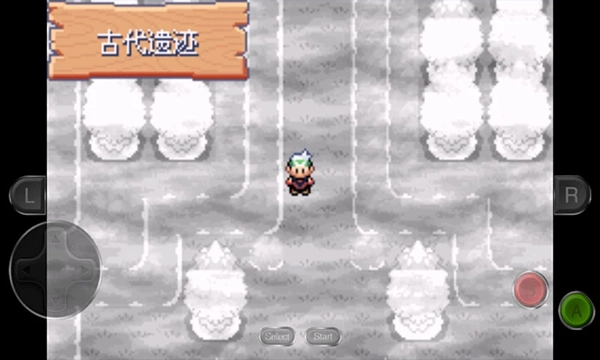 口袋妖怪永恒之沫完结版(3)