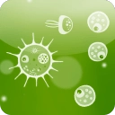 水母喂养游戏纯净最新版