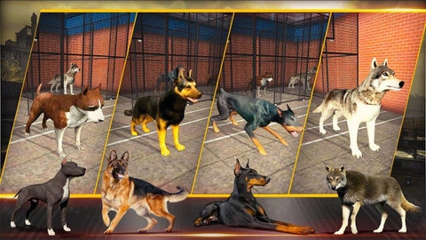 特别行动小组2026游戏完整版