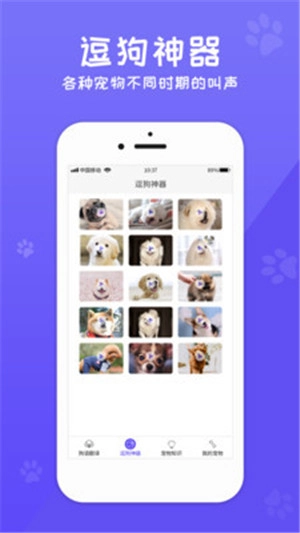 狗语翻译交流手机最新版图1
