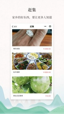 嗨走乡村原版图4