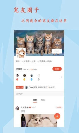 宠友帝直装版图3