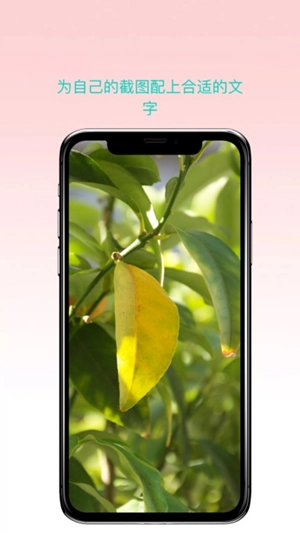 曲奇截屏免费原版图3