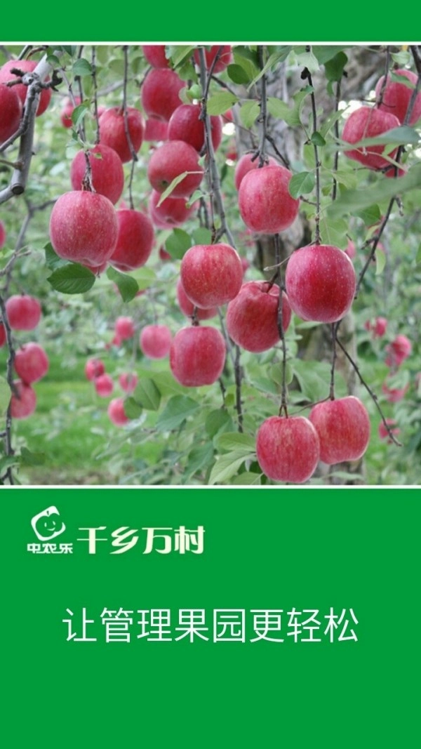 千乡万村免费版图1
