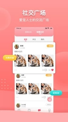 千尾官方最新版图4