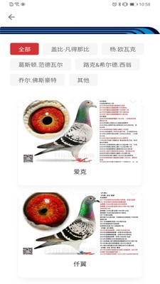 邢小信通用版