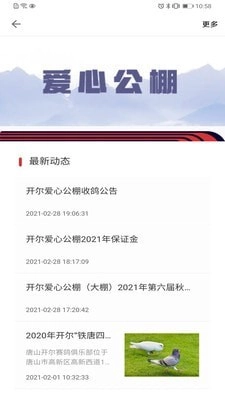 邢小信通用版