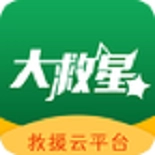 大救星正版