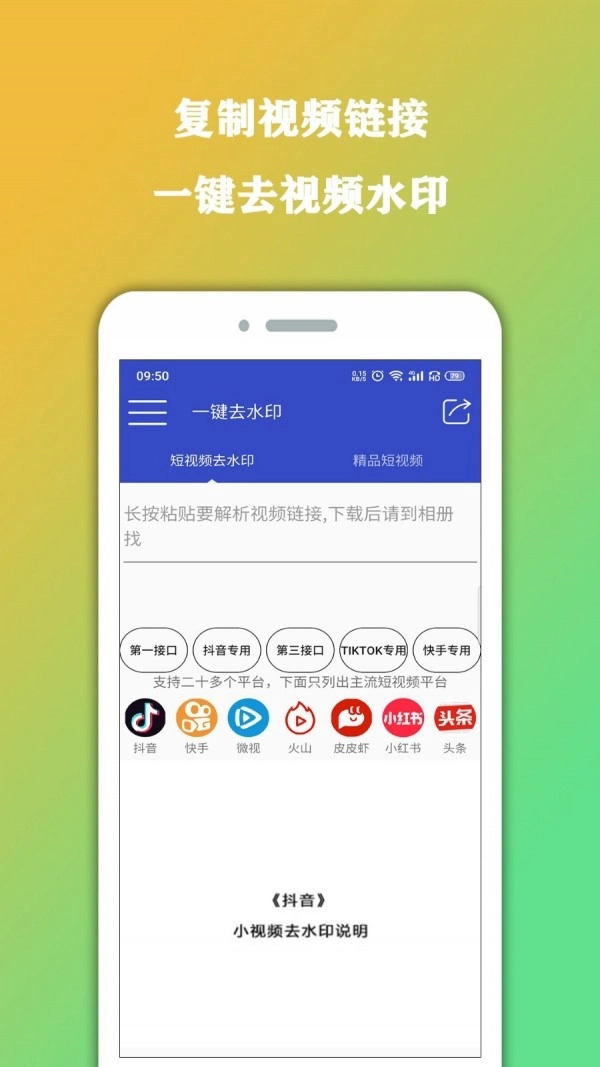 视频去水印直装版图1