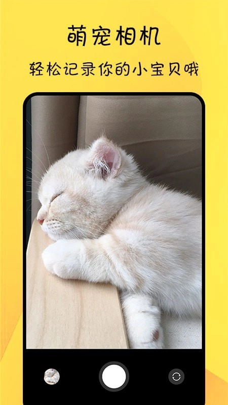 猫友舍免费版图4