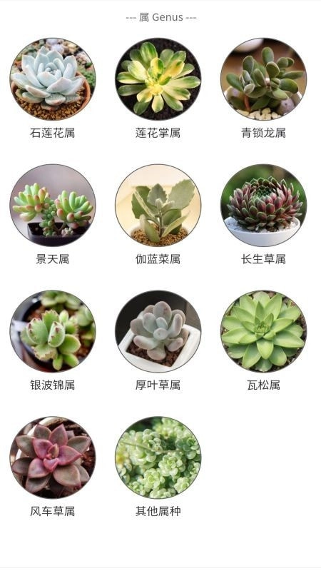 嘟嘟多肉植物鉴安卓官方版