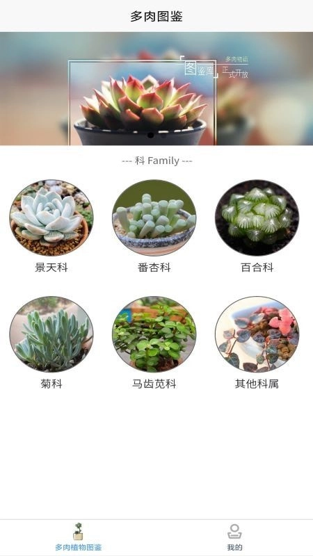 嘟嘟多肉植物鉴安卓官方版