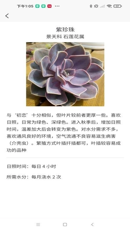 嘟嘟多肉植物鉴安卓官方版