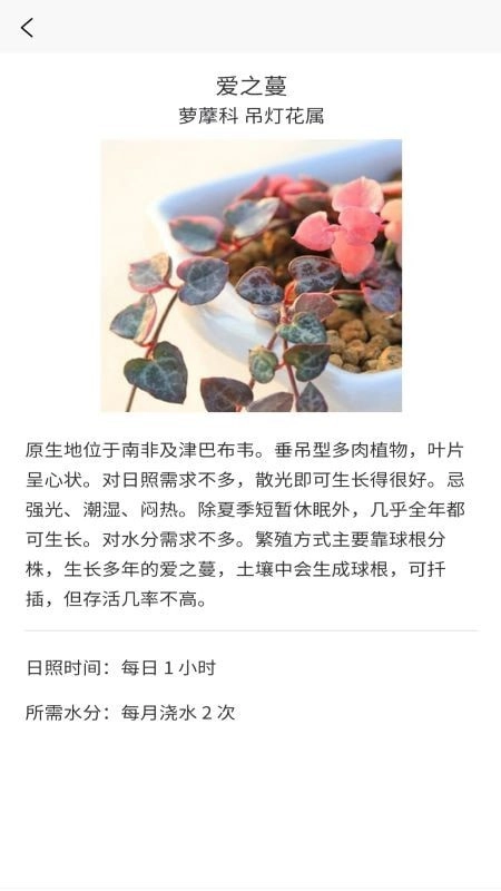 嘟嘟多肉植物鉴安卓官方版