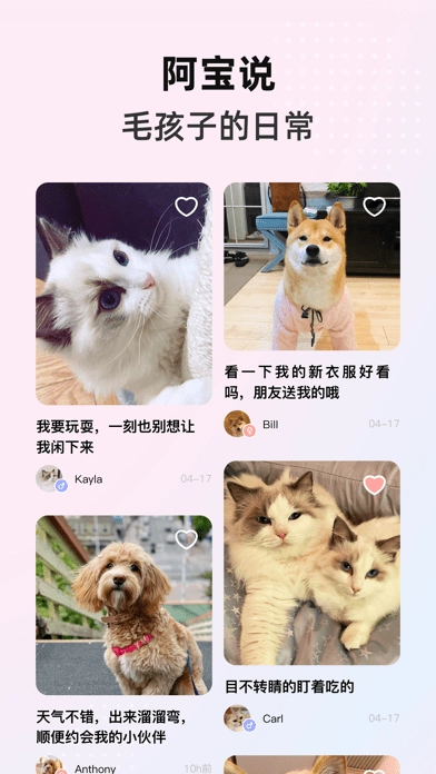 阿宝说安卓官方版图1