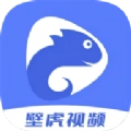 壁虎视频