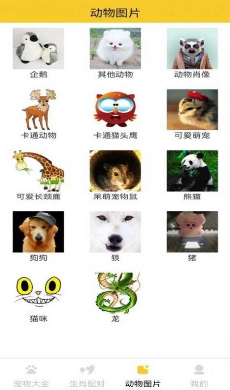 猫狗宠物大全最新版图2