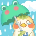 菜宠天气官方正版