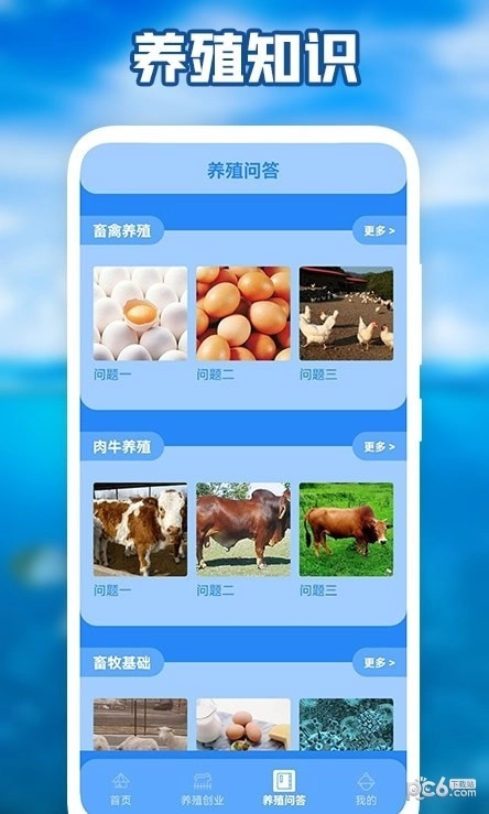 养猪场之星正版图2