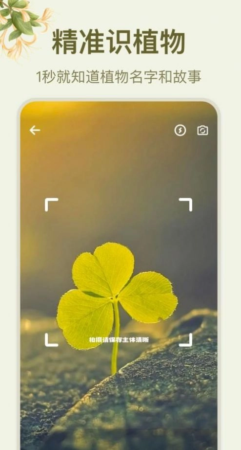 拍照识花大师手机版图1
