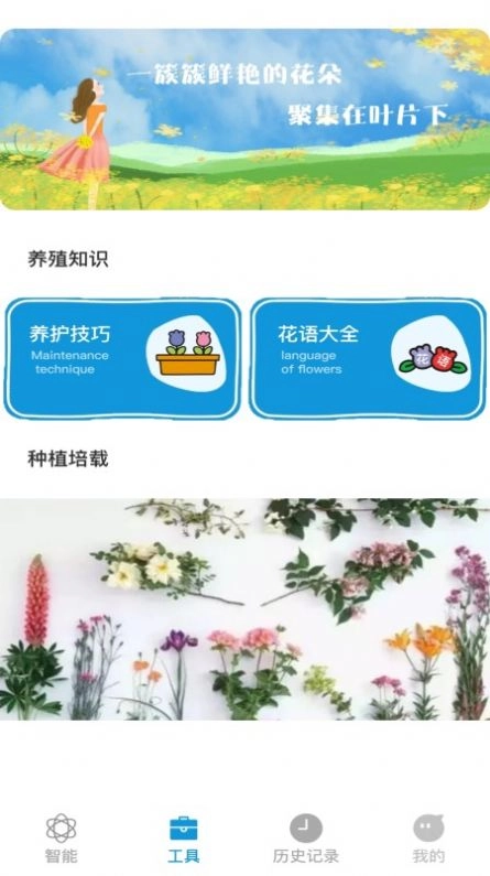 全能拍照识物官方版图3