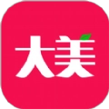 大美买菜直装版