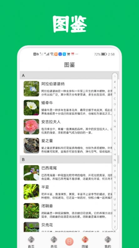 识花养花免费原版图2