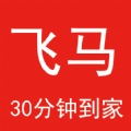 飞马到家官方正版